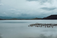 Image Fish farming.