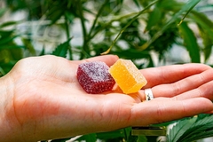 Image Holding gummies in hand