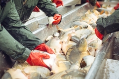 Image A Fishery.