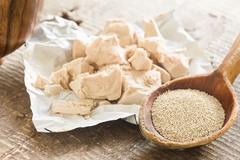 Image dry and fresh yeast.