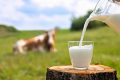 Image pouring milk into a glass.