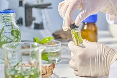 Image Natural extracts
