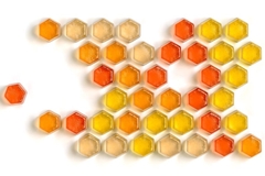 Image TopGum HoneyGum gummies