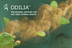Image Odilia