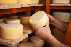 A cheese wheel.
