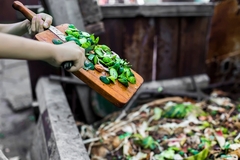 Image Food waste.