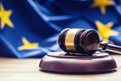 Image An EU flag with a judges gavel in the foreground.
