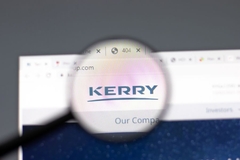 Image A Kerry logo on website under a magnifying glass.