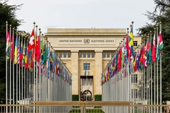 Image UN building behind two rows of international flags