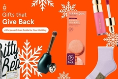 Image Cleanlogic Holiday Gift Guide