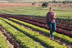 Image a young woman inspecting an agricultural field.