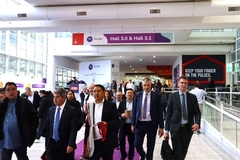 A crowd at FiE 2024.