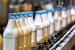 Image A dairy plant.