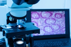 labroscope and screen with cells on it.