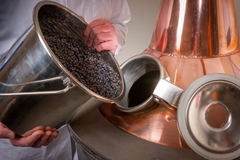 Berries being dumped into and extractor.