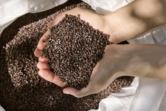 Image A handful of brown material called Renol in hands