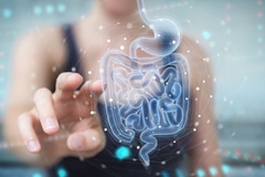 Image a figure stands and reaches out to an image of the human gut