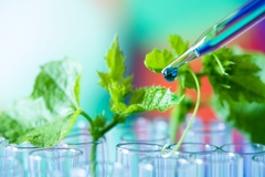 Image biotech cosmetics