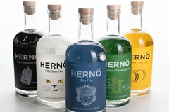 Image glass bottles containing gin
