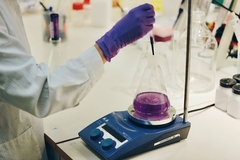 Image Vividye pigment