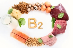 Image B2 text surrounded with meat, nuts, cheese and milk