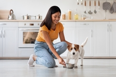 Image Pet nutrition