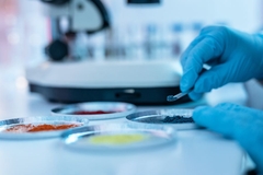 Image Researcher working on novel nutraceuticals.