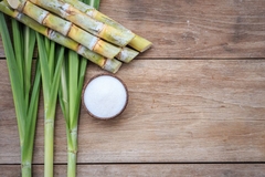 Sugar cane
