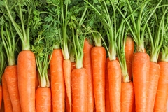 Carrots