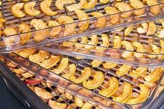 Image dried apple slices.