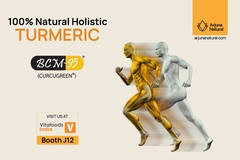 Image Natural Holistic Turmeric
