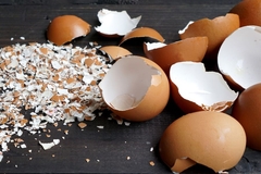 Broken egg shells.