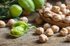 Chickpeas on a table next to a budding chickpea plant.