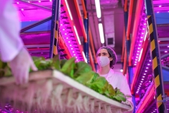 Image Vertical farm