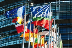 EU Flags