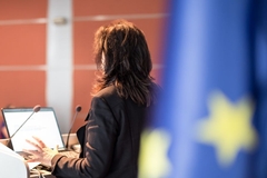 A woman speaking behind a screen.