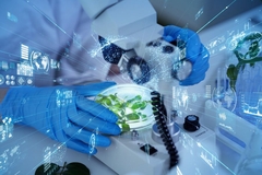 AI in food production.