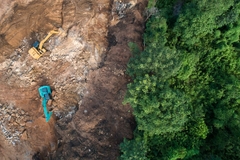 The forthcoming EU Deforestation Regulation will help boost coffee sustainability