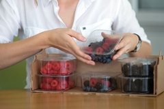 Image A person holding boxes of berries.