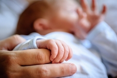 Image Baby holding an adult finger