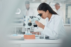 Researcher investigating akkermansia municiphila gut microbe