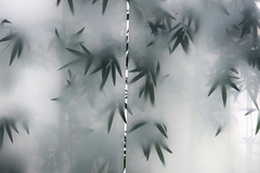 Image Bamboo trees and leaves through window
