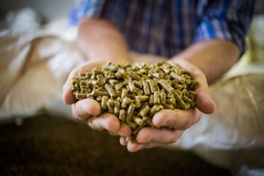 Image Livestock grain.
