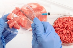Image Petri dish with cultured meat in laboratory