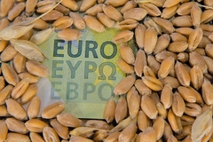 Nuts euro note