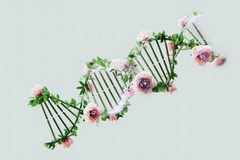 spiral helix with flowers