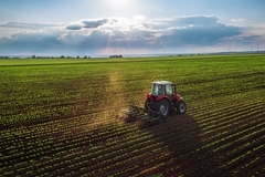 Image Tractor in a field.