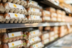 Image Eggs on shelf in store