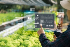 Image A young man is working on a farm using a tablet controller with innovative technology for a smart farm system