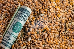 Image Dollar bill wheat